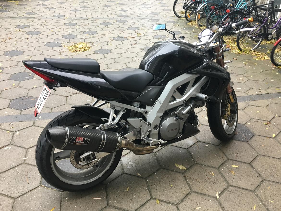 Suzuki SV1000 S (N) billede 8