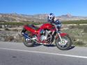 Suzuki GSF 600 Bandit