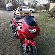 Kawasaki Ninja ZX-6R 