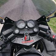 Kawasaki ZX-10 Tomcat