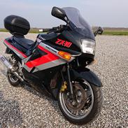 Kawasaki ZX-10 Tomcat