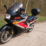 Kawasaki ZX-10 Tomcat