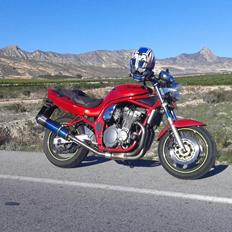 Suzuki GSF 600 Bandit