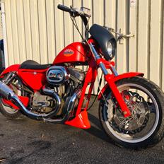 Harley Davidson 1200 Sportster " BUELLSTER"