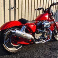 Harley Davidson 1200 Sportster " BUELLSTER"