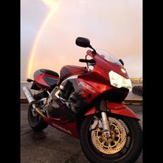 Honda Fireblade Cbr900rr (SC33)