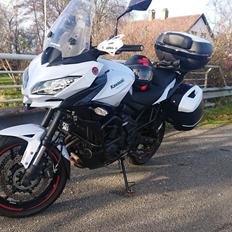 Kawasaki Versys 650 
