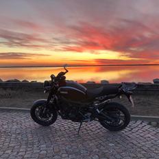 Yamaha XSR 900 SOLGT