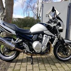 Suzuki bandit 1250