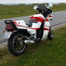 Suzuki GSX 1100 ef SOLGT Februar 2019