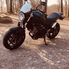 Suzuki SV 650 AL