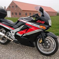 Kawasaki ZX-10 Tomcat