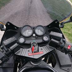 Kawasaki ZX-10 Tomcat