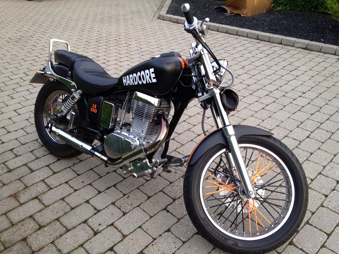 Suzuki Saveg ls 650 billede 4