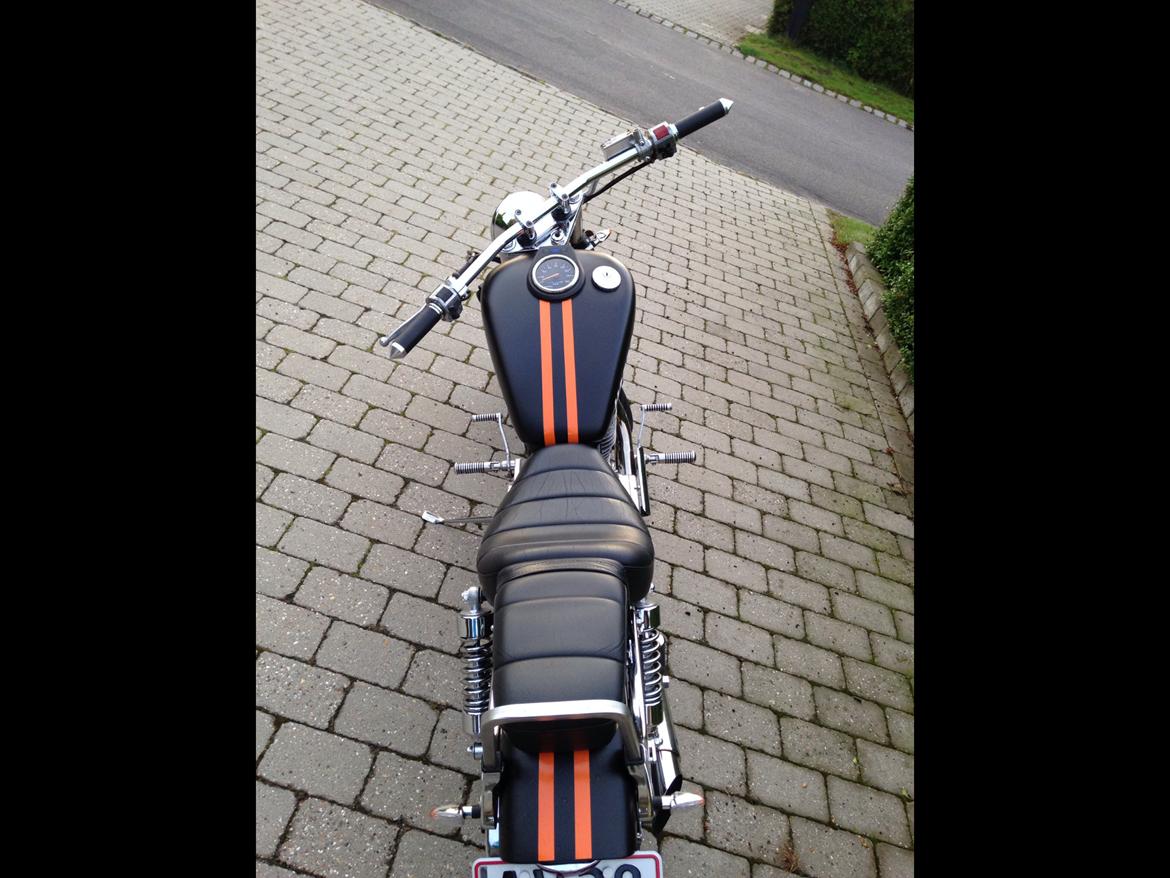 Suzuki Saveg ls 650 billede 5