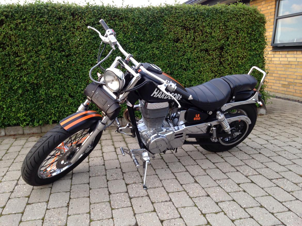 Suzuki Saveg ls 650 billede 3