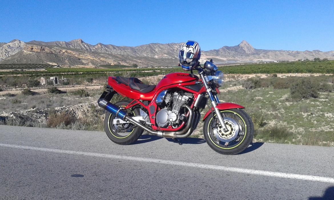 Suzuki GSF 600 Bandit billede 1