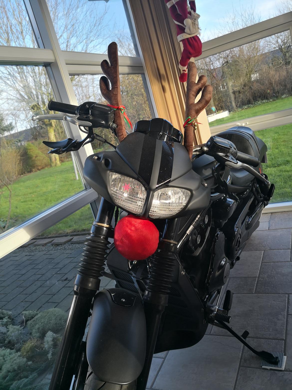 Harley Davidson Night Rod Special billede 9