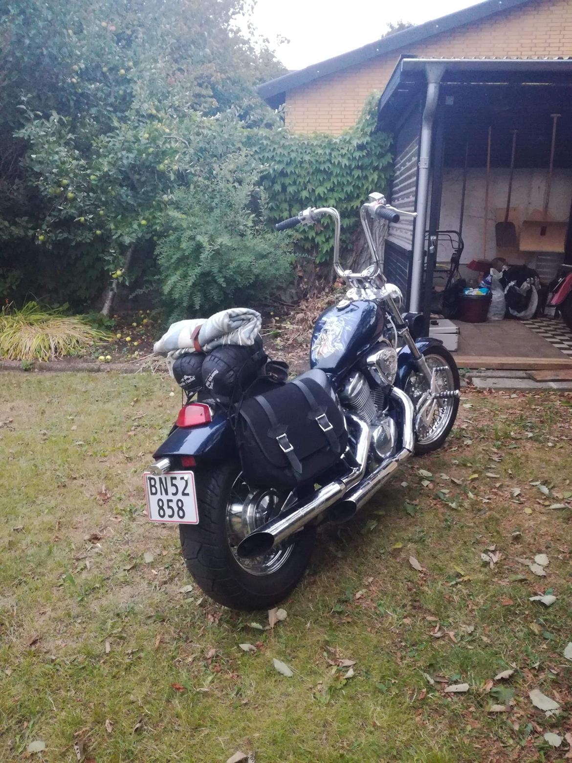 Honda VT600 Shadow billede 9