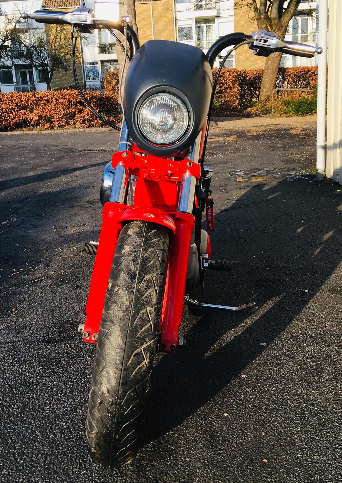 Harley Davidson 1200 Sportster " BUELLSTER" billede 8