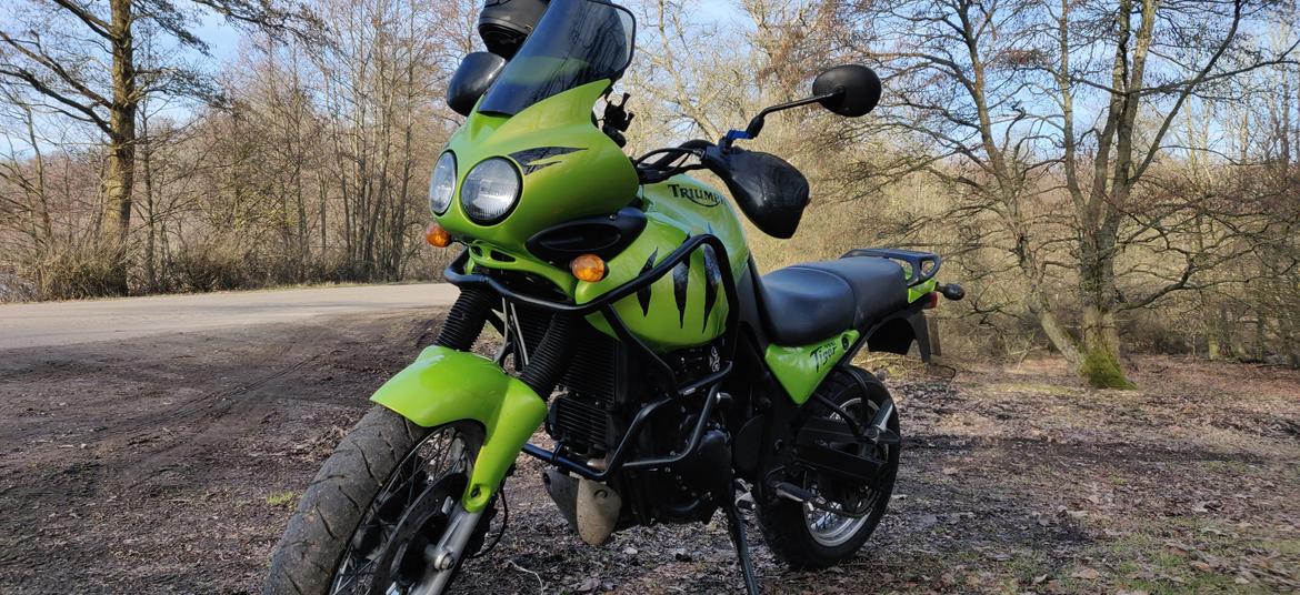 Triumph Tiger 955i billede 12