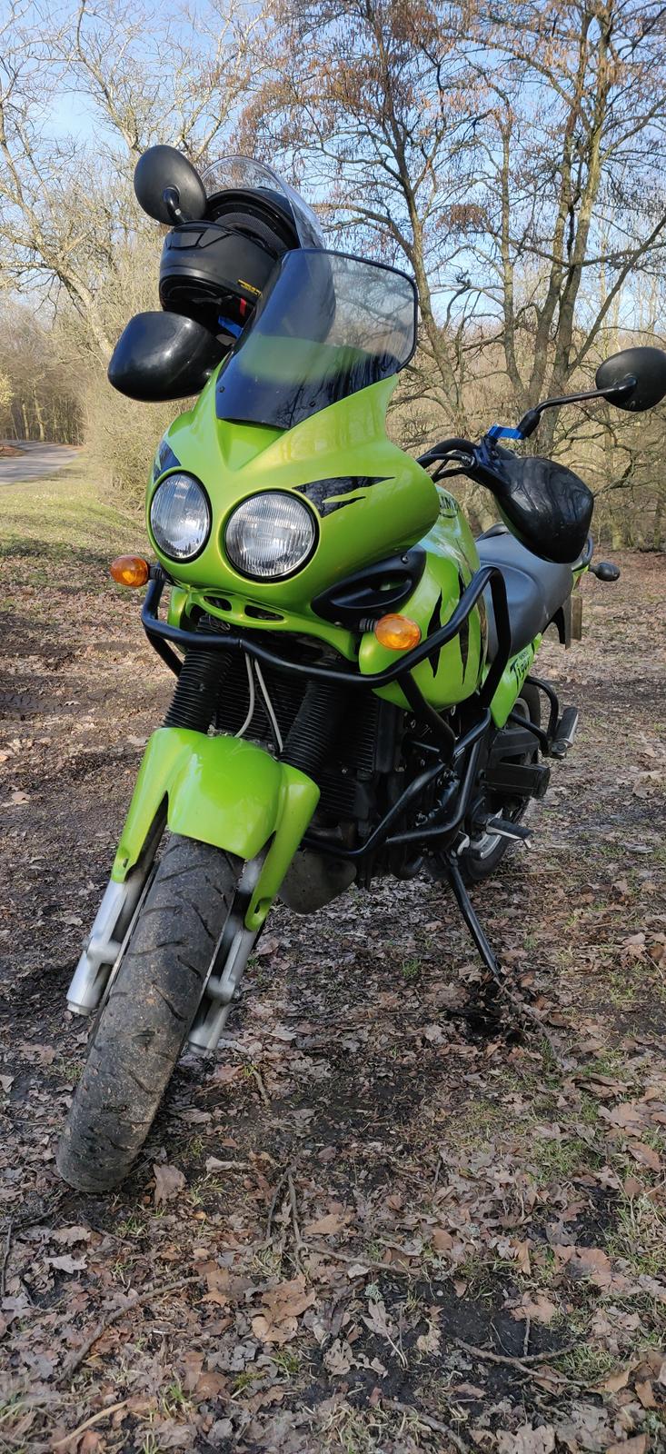 Triumph Tiger 955i billede 13