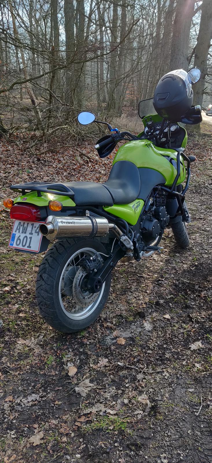 Triumph Tiger 955i billede 15