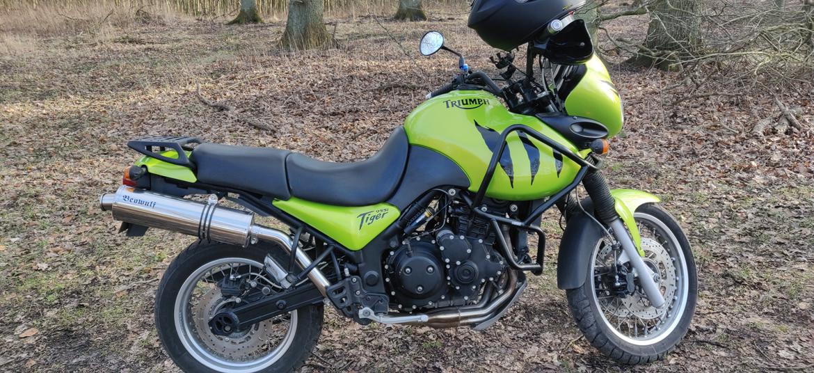 Triumph Tiger 955i billede 16