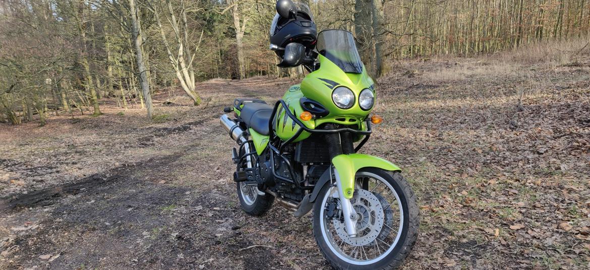Triumph Tiger 955i billede 17