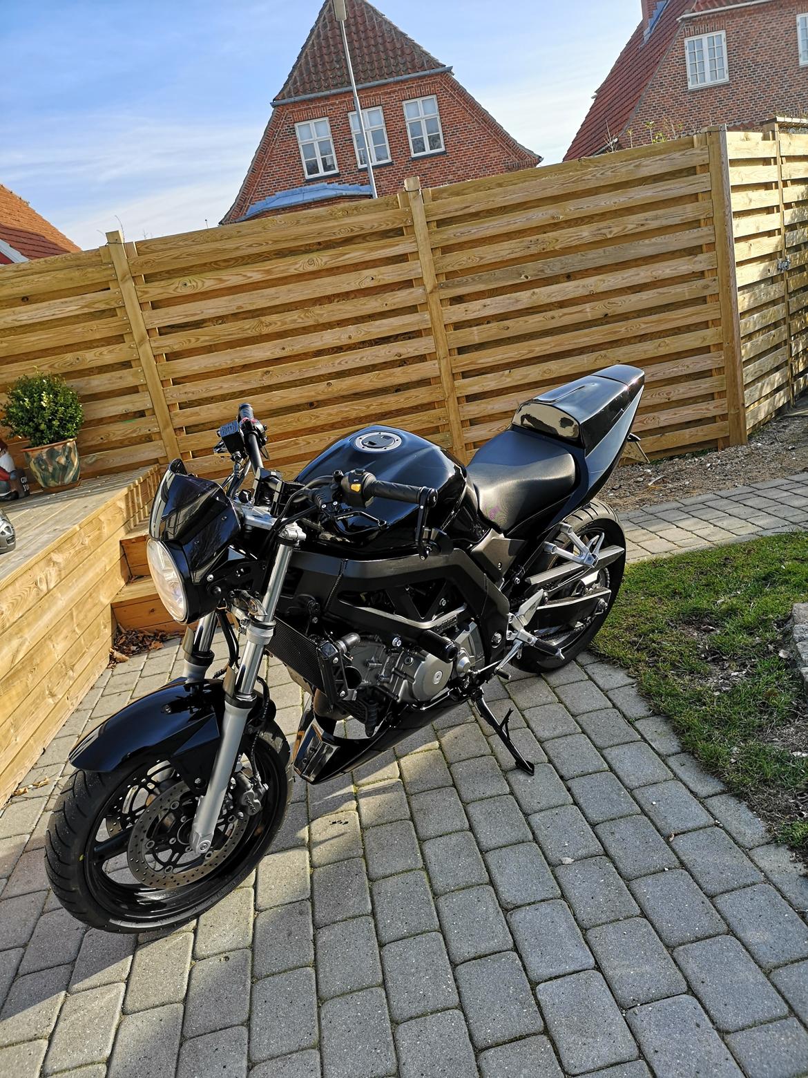 Suzuki SV650 billede 1