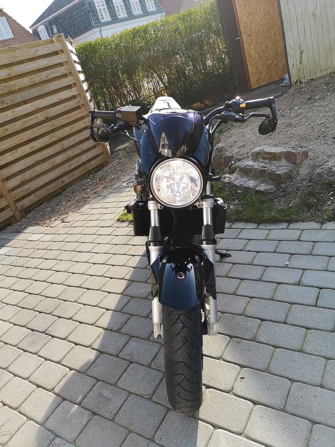 Suzuki SV650 billede 3