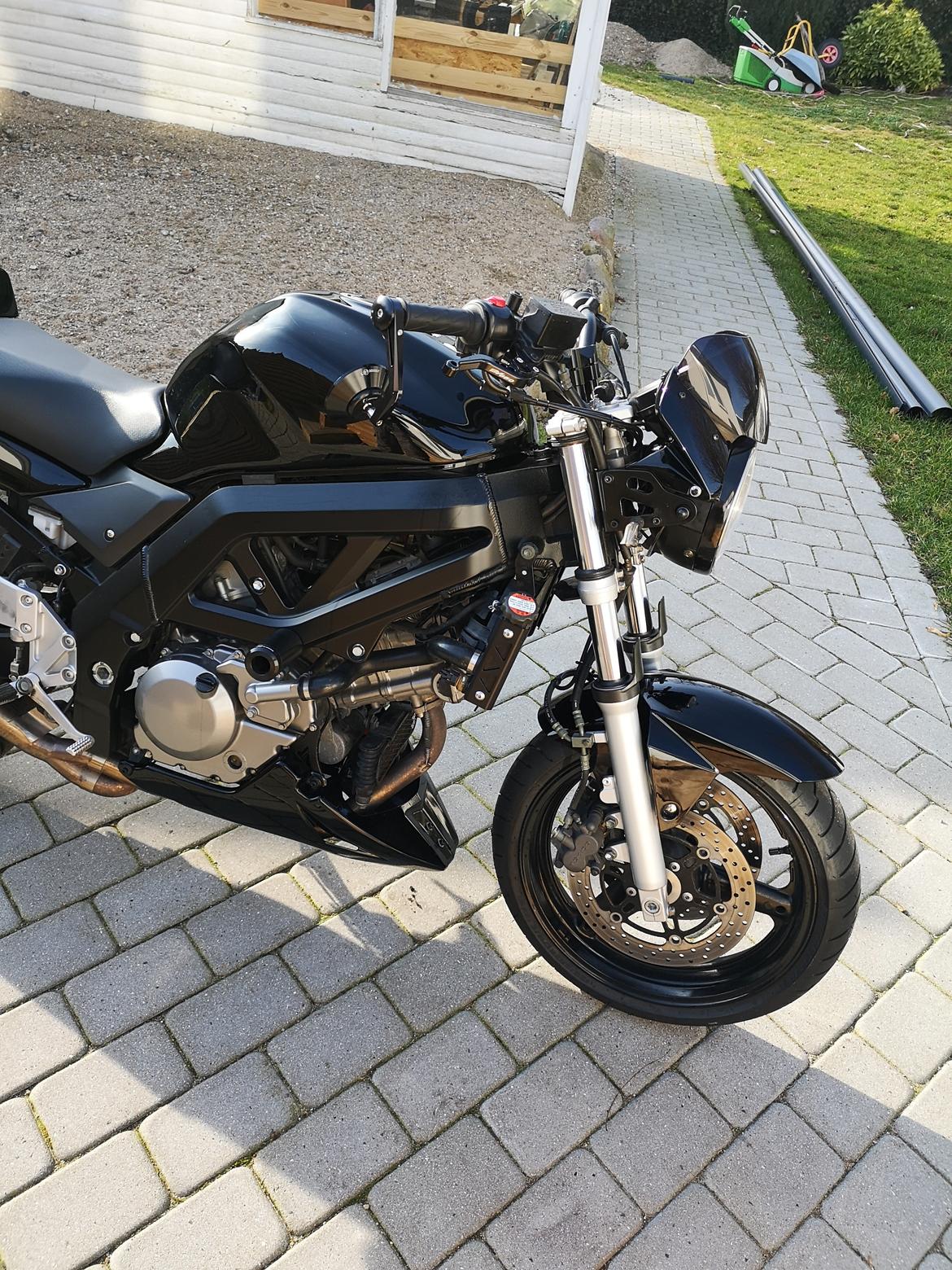 Suzuki SV650 billede 6