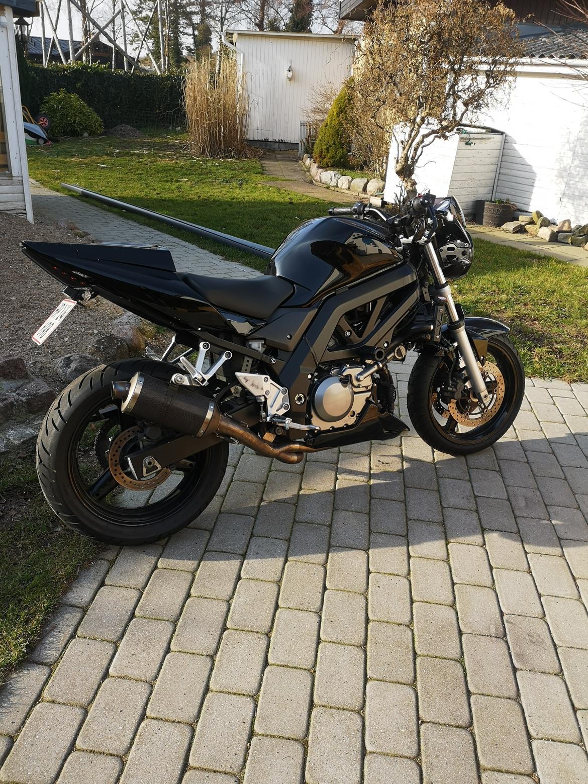 Suzuki SV650 billede 5