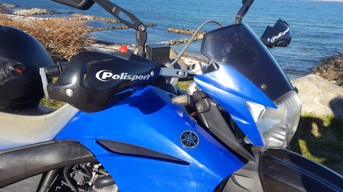 Yamaha XT 660 X billede 5