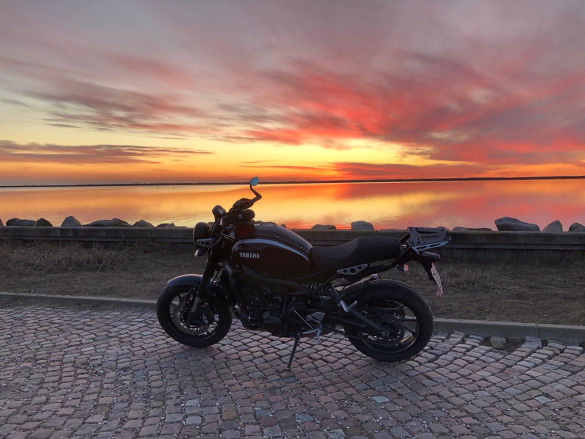 Yamaha XSR 900 SOLGT - 1. marts 2019 første tur denne sæson. billede 1