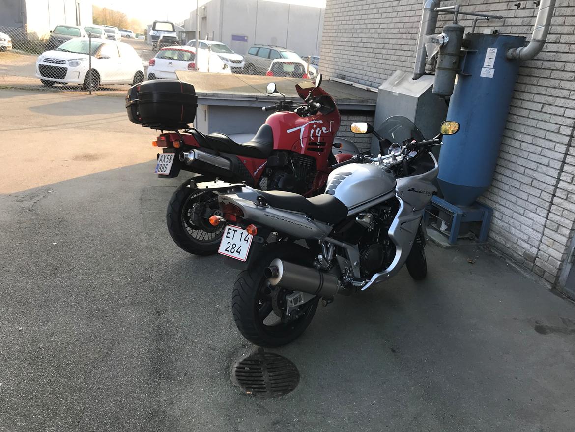 Suzuki GSF 1200 Bandit billede 11