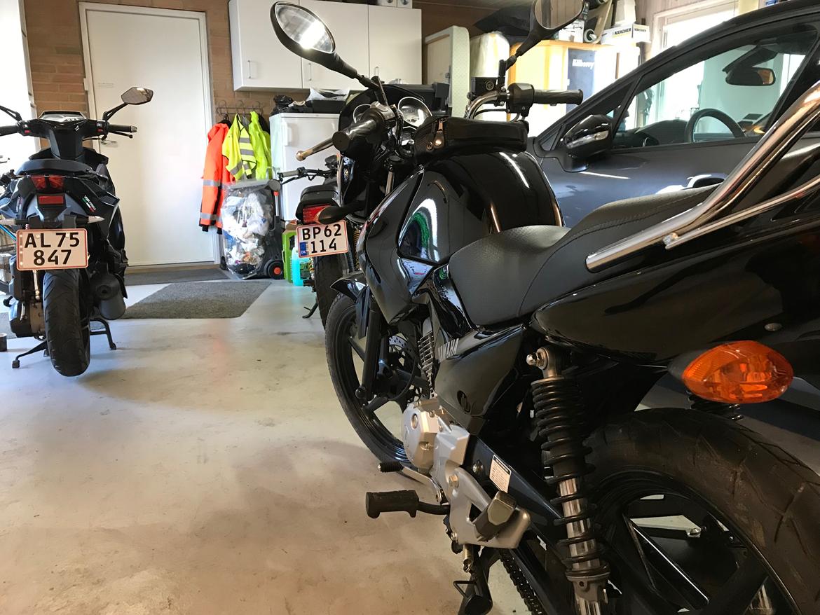 Yamaha YBR 125 billede 9