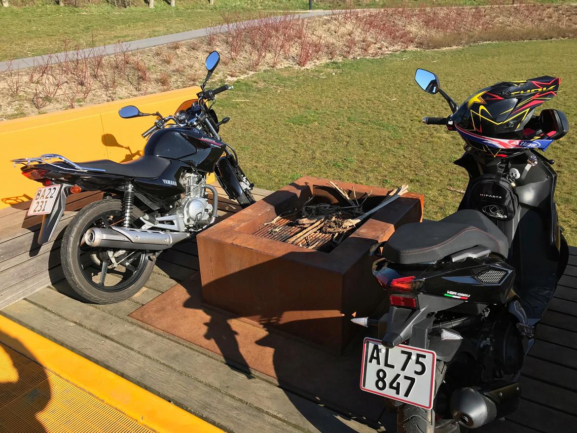 Yamaha YBR 125 billede 14