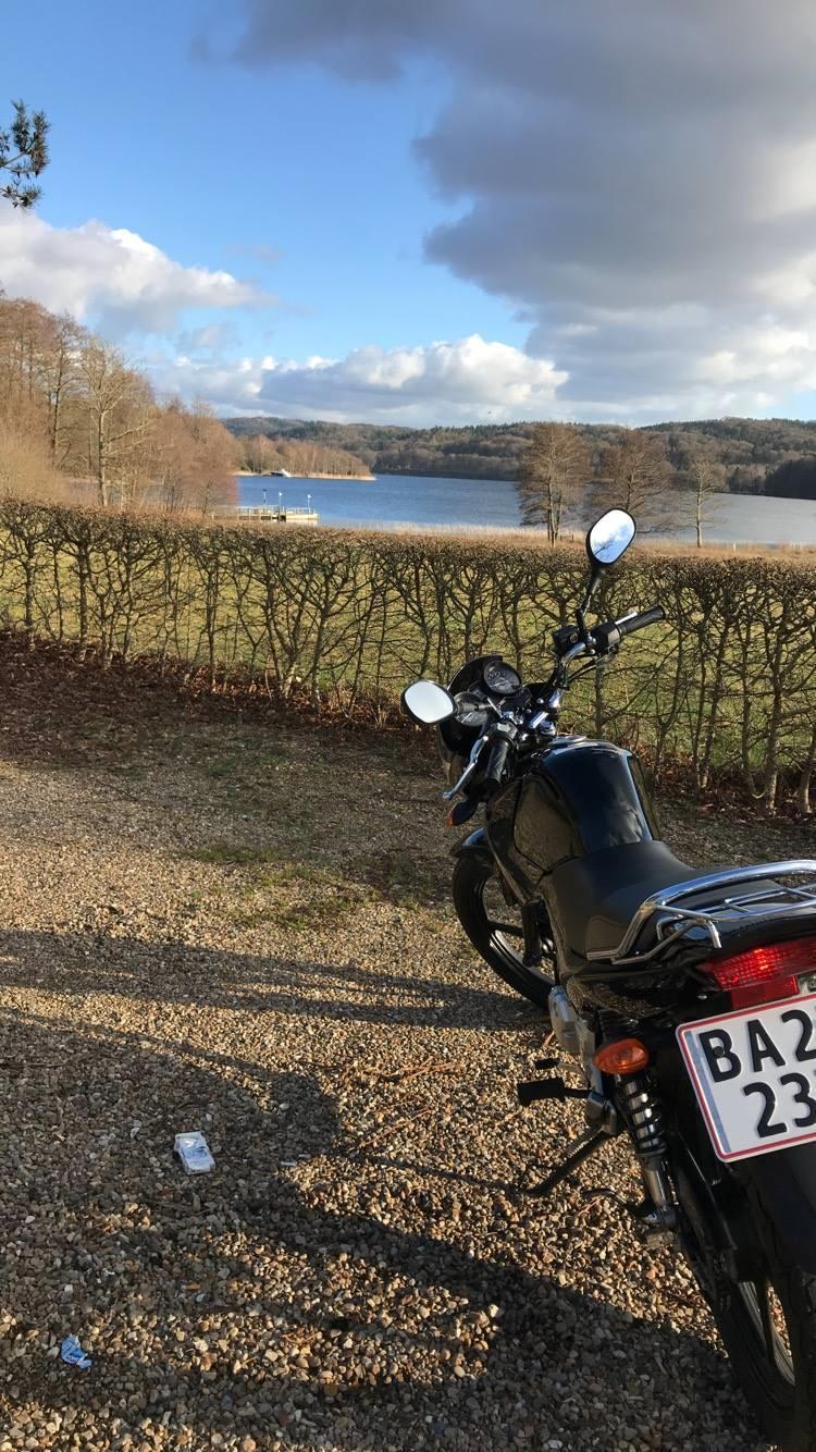 Yamaha YBR 125 billede 15