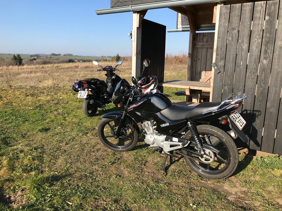 Yamaha YBR 125 billede 16