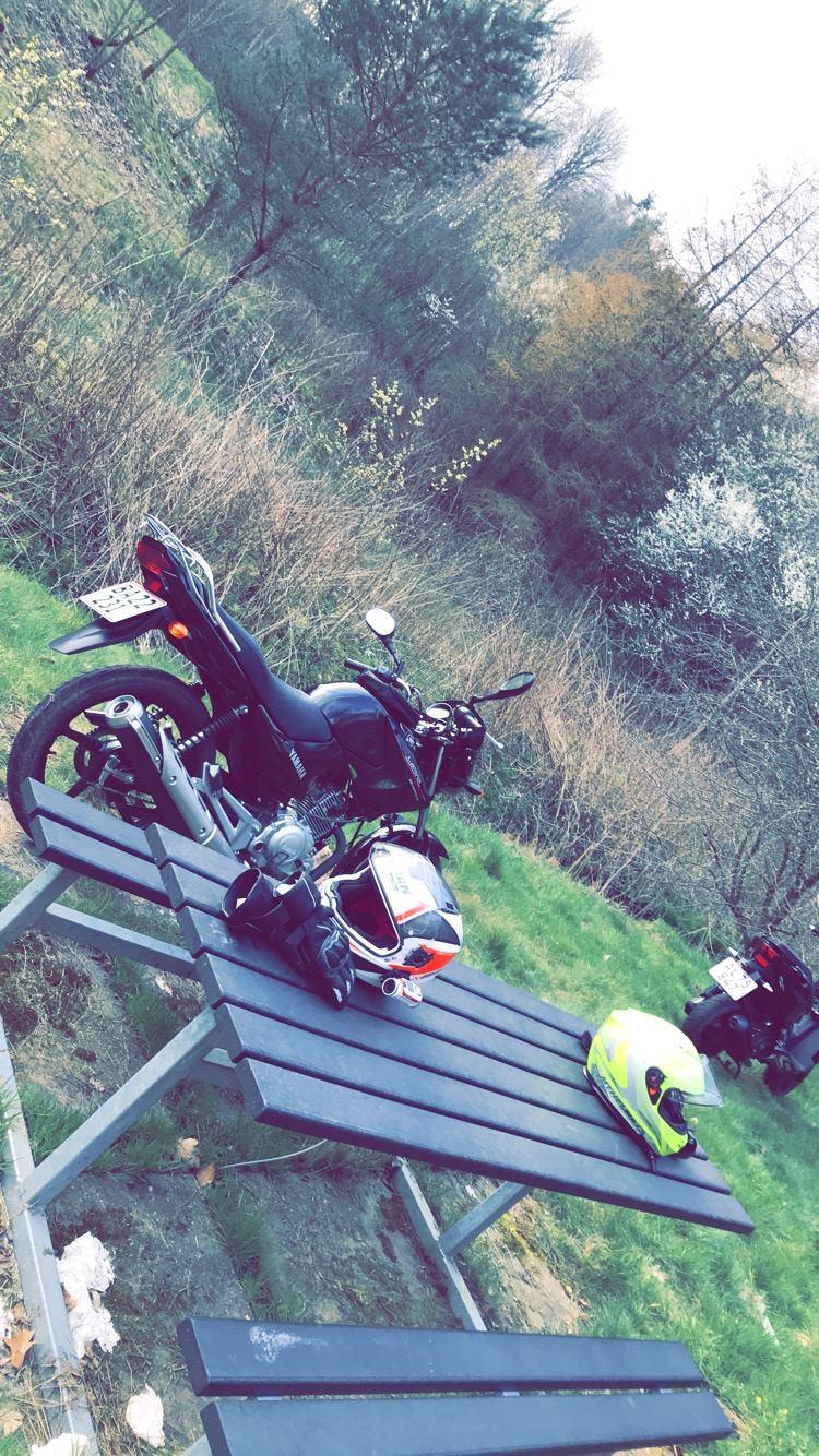 Yamaha YBR 125 billede 17