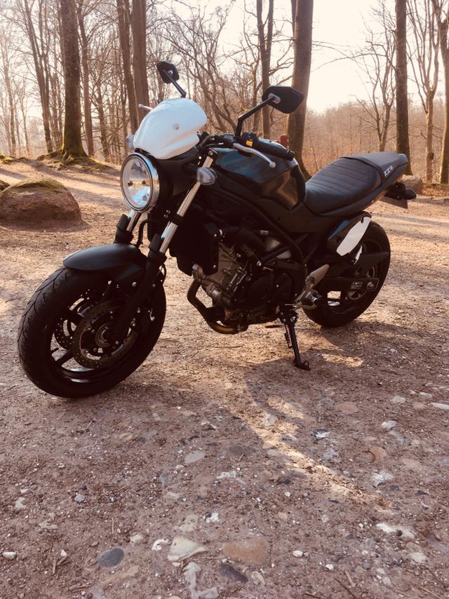 Suzuki SV 650 AL billede 1