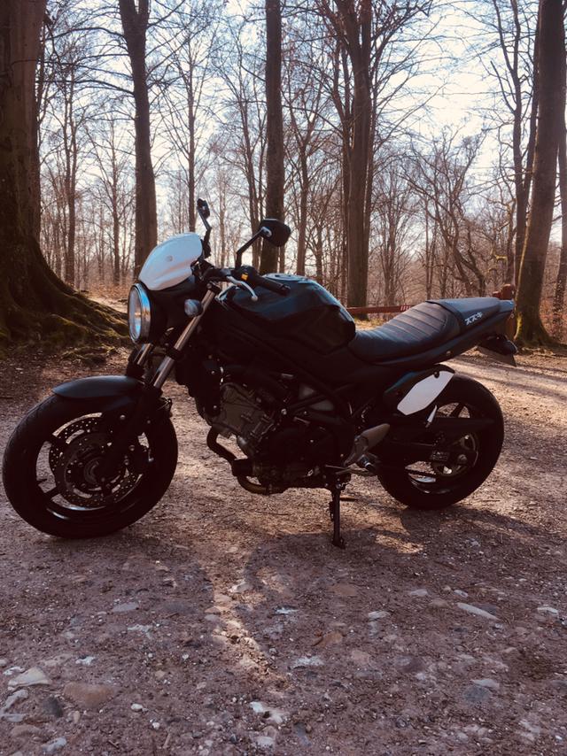 Suzuki SV 650 AL billede 2