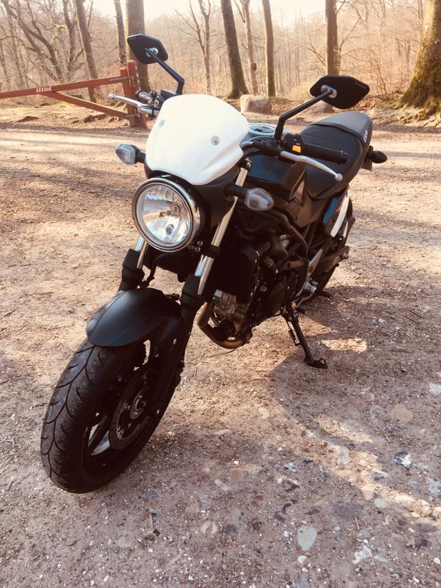 Suzuki SV 650 AL billede 3
