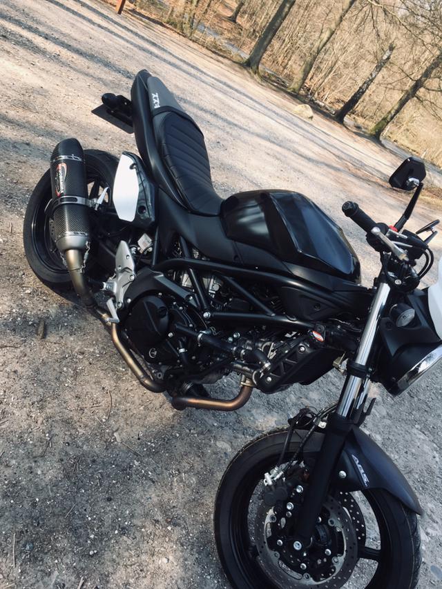 Suzuki SV 650 AL billede 5