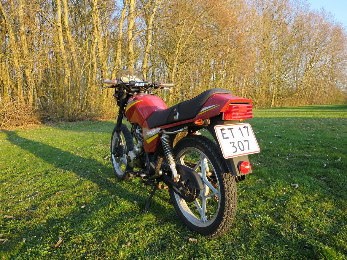 Geely Grand Puma JL 150-9 billede 12