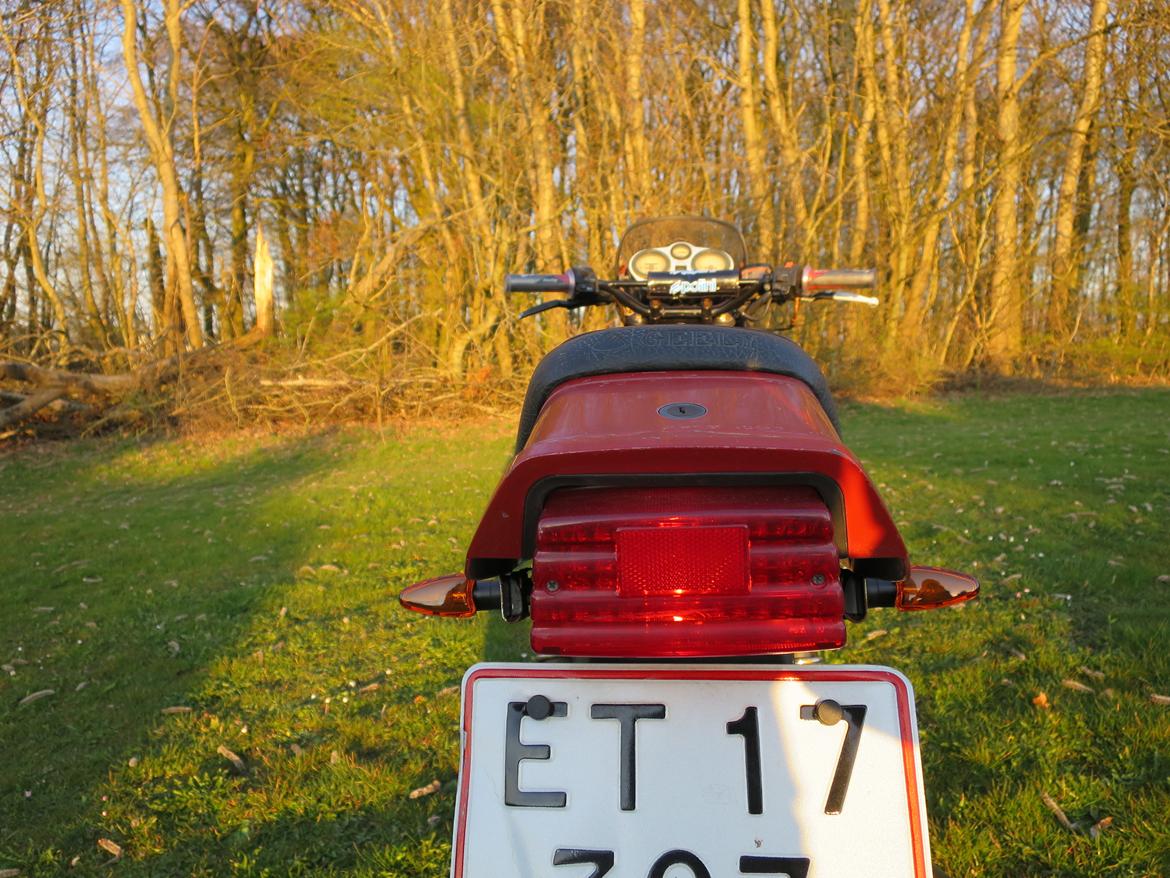 Geely Grand Puma JL 150-9 billede 15