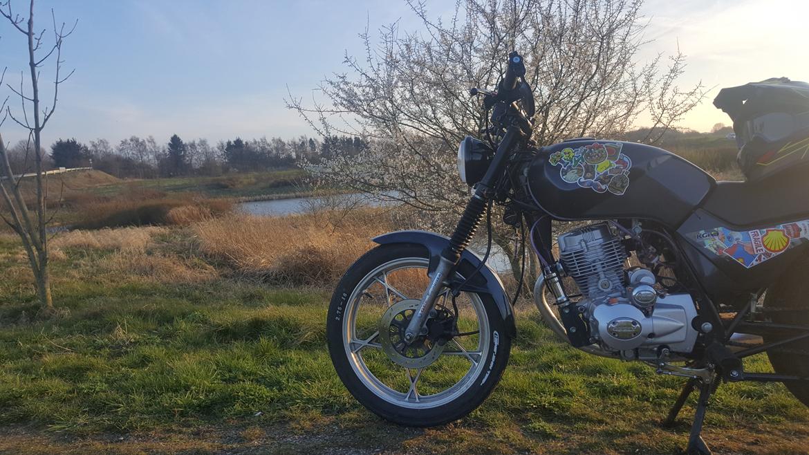 Geely Cafe, Grand Puma JL 150-9 billede 20