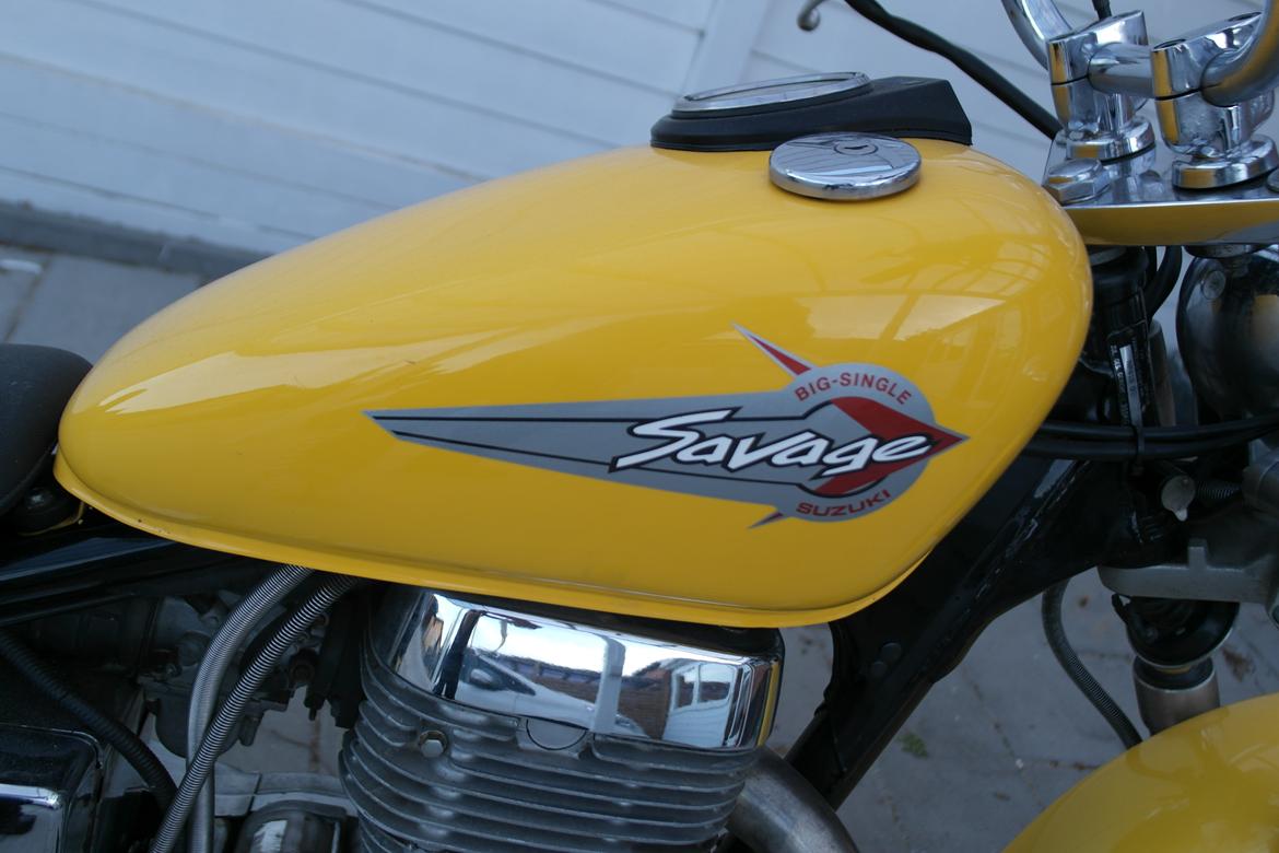 Suzuki LS 650 billede 9