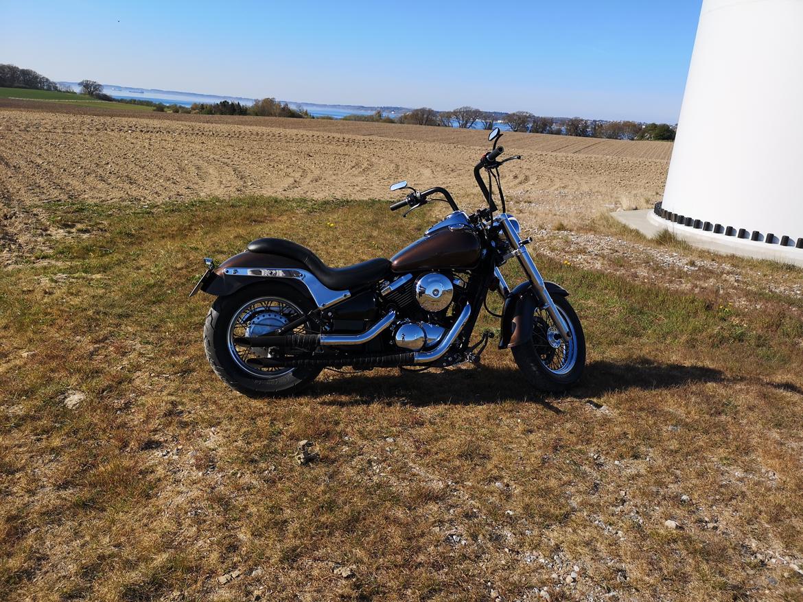 Kawasaki VN800 billede 4